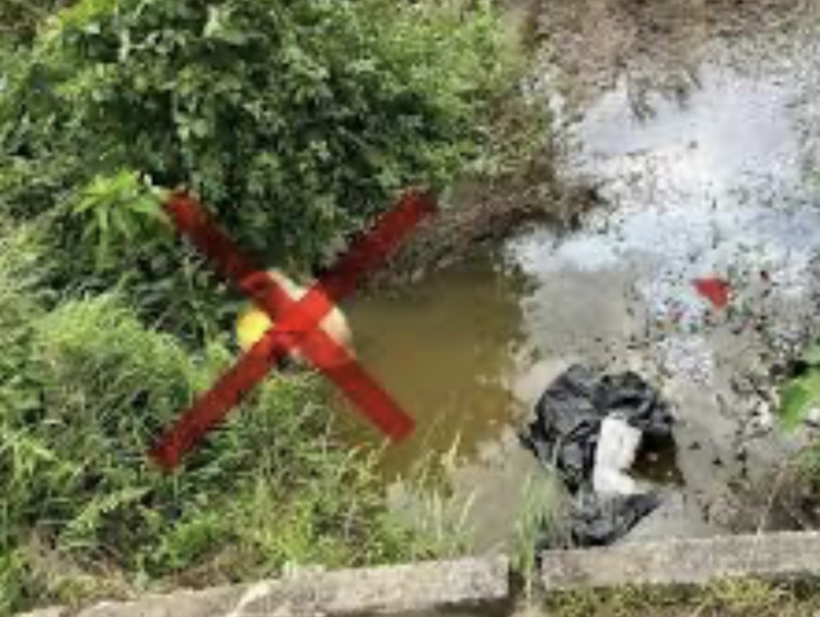 Kiểm soát và xử lý nghiêm, kịp thời, triệt để hành vi vi phạm vứt xác động vật, sản phẩm động vật mang mầm bệnh ra môi trường- Ảnh 1.