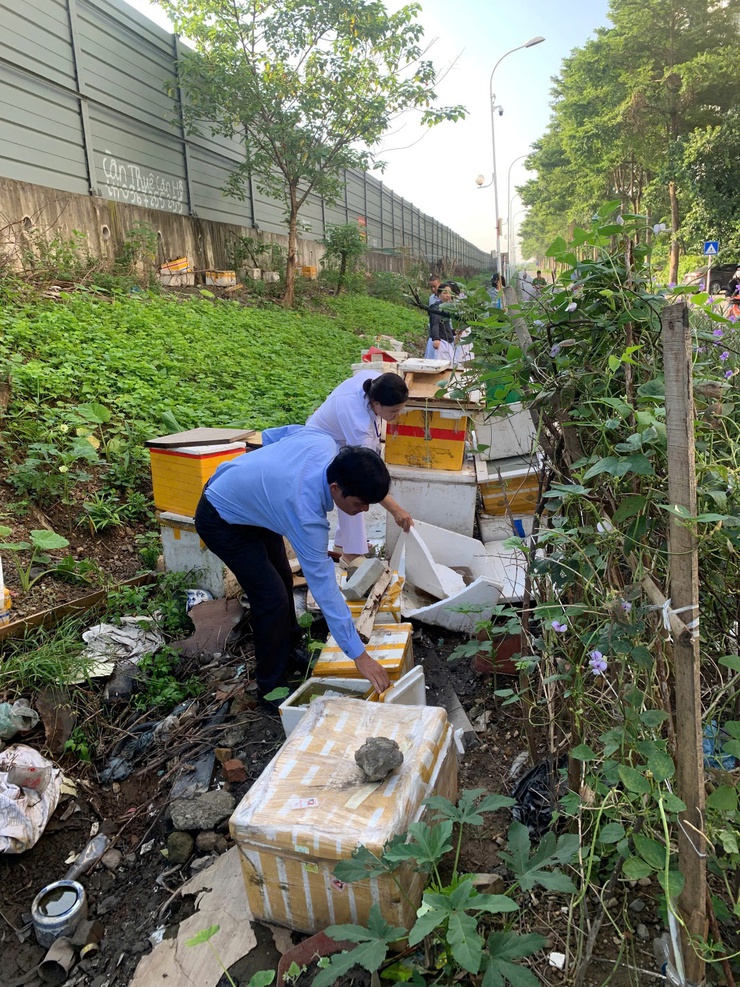 Phường Yên Sở ra quân tổng vệ sinh môi trường và phát động phong trào “Sáng - Xanh - Sạch - Đẹp”: hướng tới đô thị văn minh, hiện đại, bền vững- Ảnh 9.