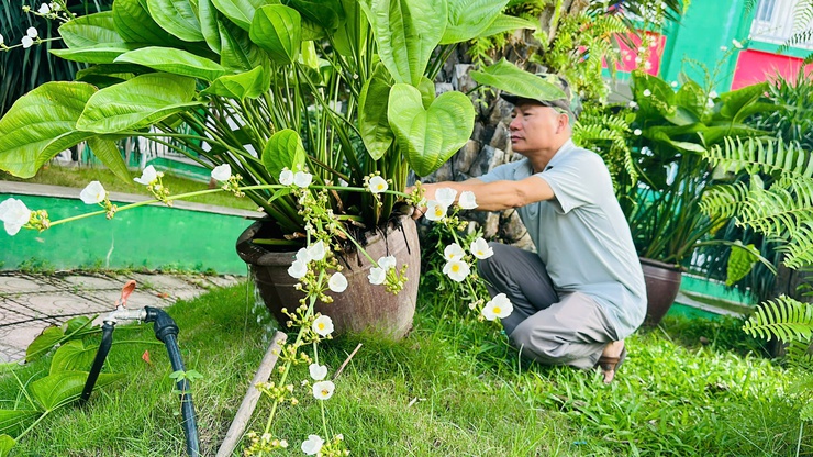 Phường Long Biên ra quân tổng vệ sinh môi trường phòng, diệt bọ gậy, phòng chống dịch sốt xuất huyết- Ảnh 9.