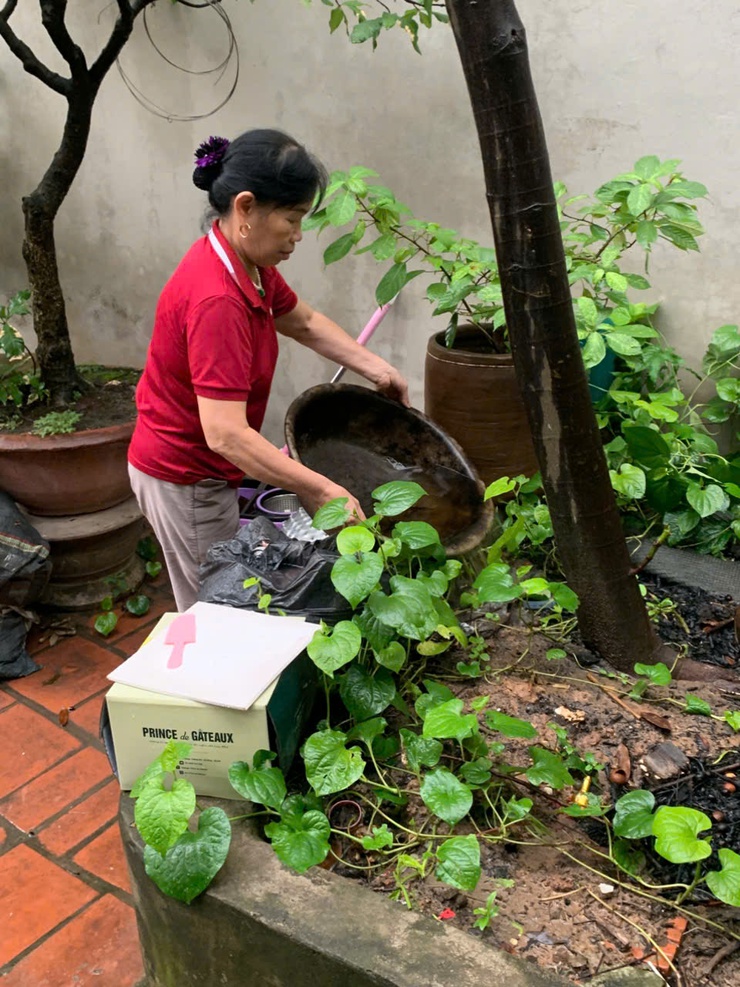 Ngành Y tế ra quân tổng vệ sinh môi trường phòng chống dịch sốt xuất huyết và bệnh Chikingunya- Ảnh 2.