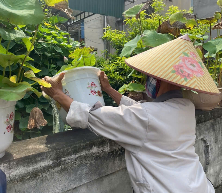 Xã Quang Minh tăng cường phòng chống sốt xuất huyết: Đồng loạt ra quân diệt loăng quăng, bọ gậy, xử lý triệt để ca bệnh- Ảnh 2.