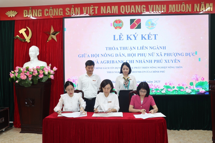 Agribank chi nhánh Phú Xuyên tổ chức sơ kết công tác cho vay qua tổ vay vốn 6 tháng đầu năm 2025- Ảnh 4.