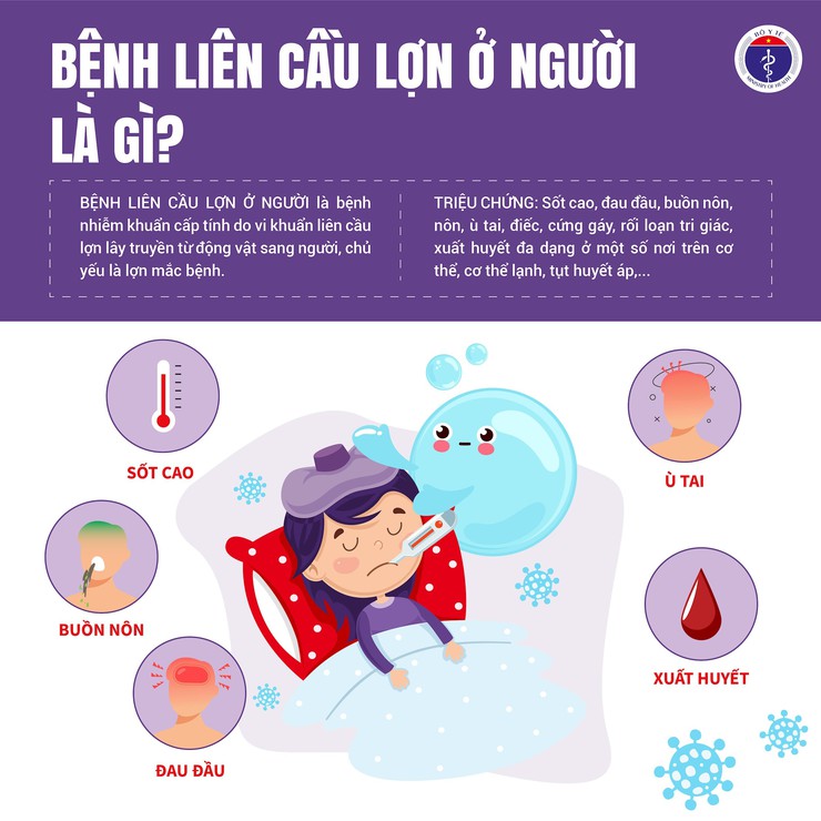 Bệnh liên cầu khuẩn lợn ở người - những điều cần biết- Ảnh 1.