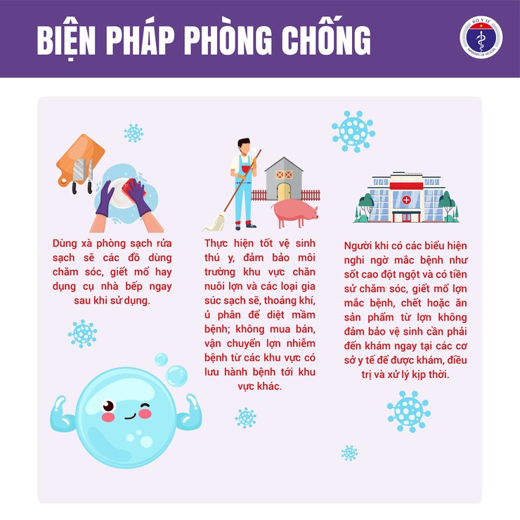 Bệnh liên cầu khuẩn lợn ở người - những điều cần biết- Ảnh 5.