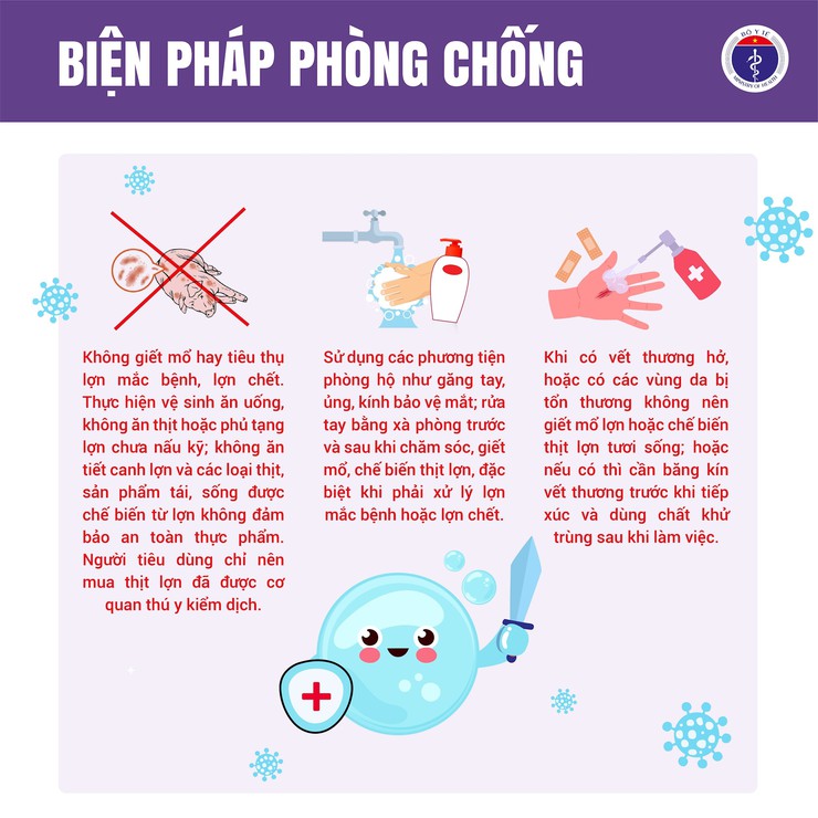 Bệnh liên cầu khuẩn lợn ở người - những điều cần biết- Ảnh 4.