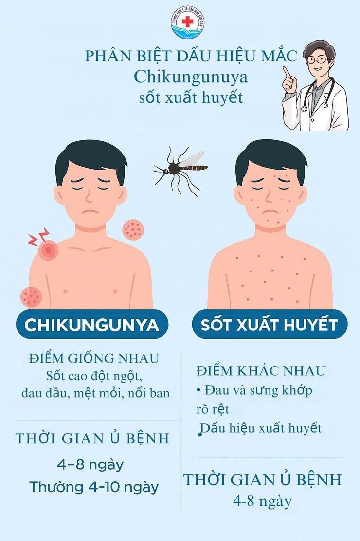 Hà Nội tăng cường phòng, chống bệnh Chikungunya- Ảnh 2.