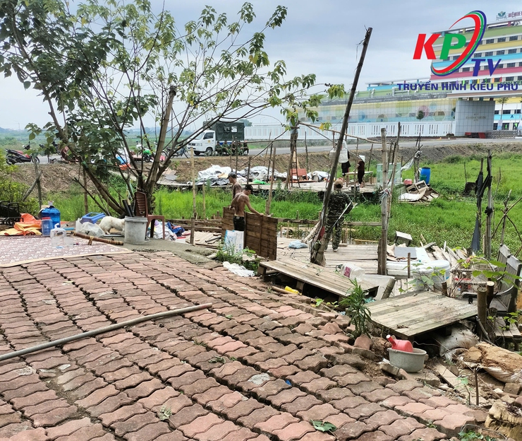 UBND xã Kiều Phú ra quân thực hiện tổng vệ sinh môi trường, chỉnh trang cảnh quan chào mừng kỷ niệm 80 năm Cách mạng Tháng Tám và Quốc khánh 2/9- Ảnh 6.