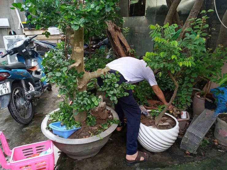 Các tổ dân phố phường Long Biên đồng loạt ra quân vệ sinh môi trường sáng thứ Bảy - Chung tay vì một môi trường sống xanh, sạch, đẹp- Ảnh 3.