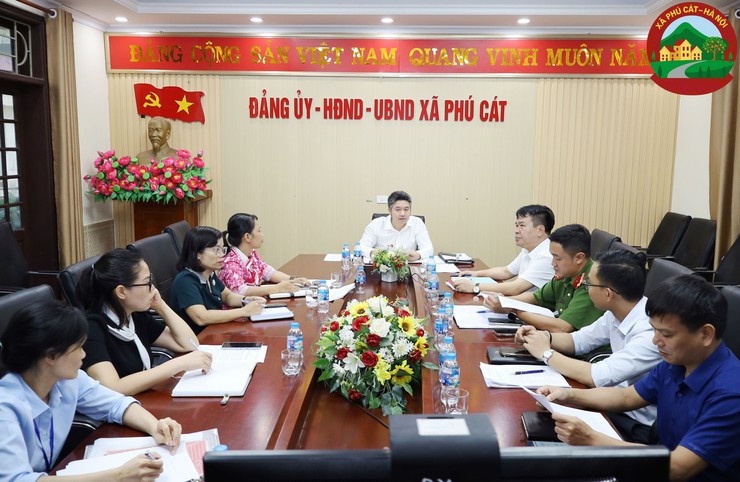 Phú Cát: Triển khai giải pháp thực hiện chiến dịch "45 ngày đêm ra quân hỗ trợ hoạt động chuyển đổi số"- Ảnh 1.