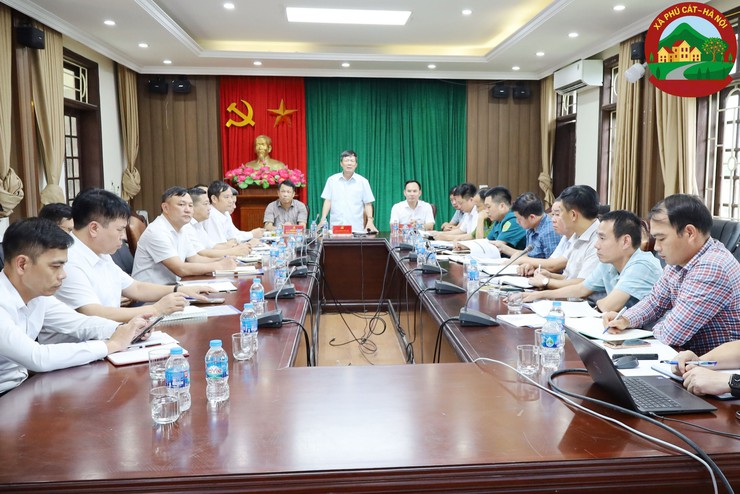 Hơn 290.000 tỷ đồng sẽ được đầu tư dự án Khu đô thị mới xã Phú Cát

- Ảnh 1.