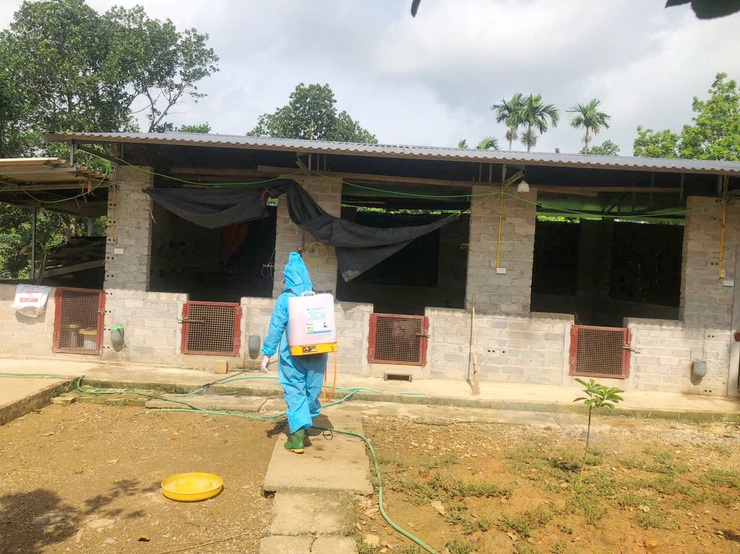 Phú Cát triển khai công tác vệ sinh, khử trùng, tiêu độc phòng chống dịch bệnh gia súc, gia cầm năm 2025

- Ảnh 2.