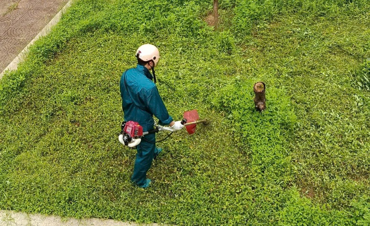Đoàn xã Vân Đình ra quân “Chủ nhật xanh” lần thứ V năm 2025 với nhiều hoạt động ý nghĩa- Ảnh 4.