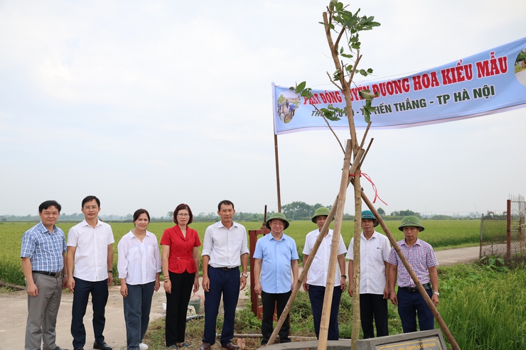 Thôn Cư An phát động xây dựng “Tuyến đường hoa kiểu mẫu” chào mừng Quốc khánh 2/9- Ảnh 5.