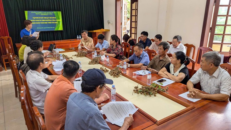 Tập huấn kỹ thuật sản xuất nấm mộc nhĩ cho hội viên nông dân xã Dương Hoà- Ảnh 1.