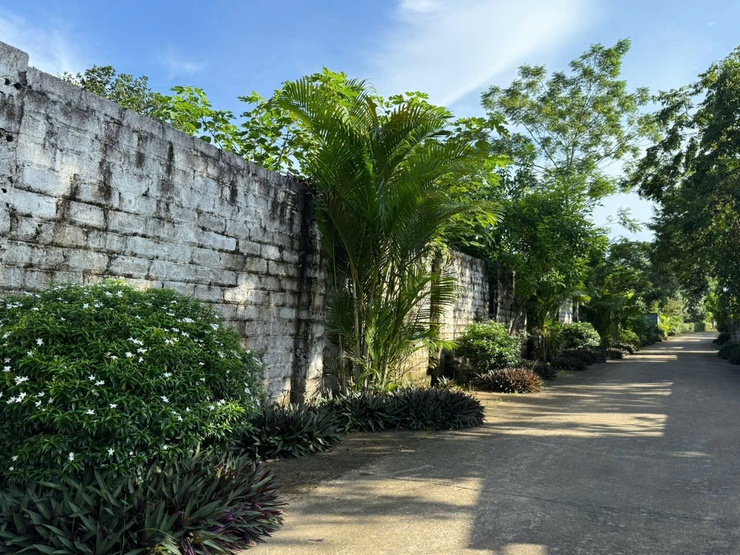 BẢN TIN TUYÊN TRUYỀN- Ảnh 4.