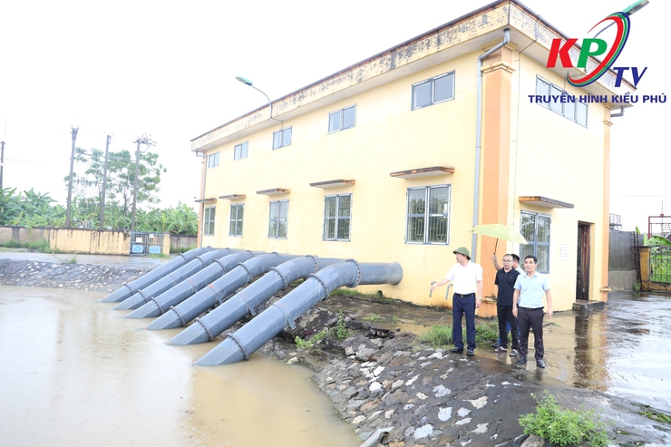Ảnh hưởng bão số 5, xã Kiều Phú ngập hơn 200ha lúa, Đảng uỷ- UBND xã đang tập trung chỉ đạo quyết liệt để cứu lúa - Ảnh 2.