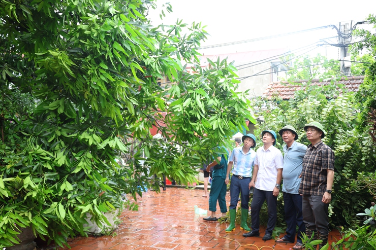 Đồng chí Bí Thư Đảng ủy xã kiểm tra công tác phòng, chống, khắc phục hậu quả cơn bão số 5- Ảnh 4.