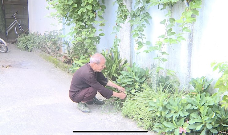 Cụ Kiều Hữu Bùi, thôn Trung Nam Lộc - Tấm gương bình dị lan tỏa nếp sống xanh ở xã Phúc Thọ- Ảnh 5.