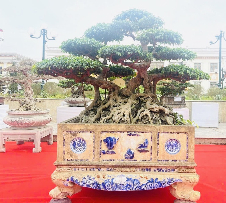                                    THÔNG BÁO
 TRIỂN LÃM CÁC TÁC PHẨM CÂY CẢNH NGHỆ                THUẬT CHÀO MỪNG KỶ NIỆM 80 NĂM CÁCH MẠNG THÁNG TÁM VÀ QUỐC KHÁNH 02/9- Ảnh 1.