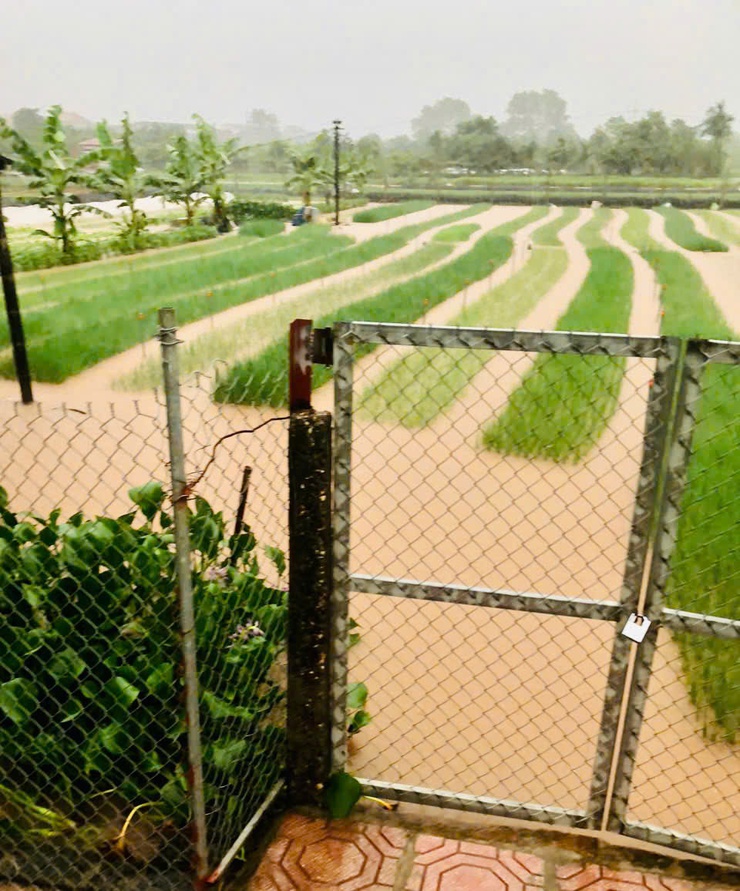 Cập nhật nhanh tình hình ứng phó với thiên tai do ảnh hưởng của cơn bão số 5 trên địa bàn xã Phúc Thọ- Ảnh 2.