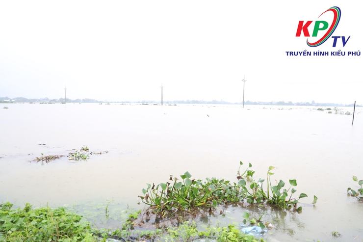 Mực nước sông Tích dâng cao trên mức báo động 3; Xã Kiều Phú ráo riết thực hiện các phương án phòng chống thiên tai - Ảnh 7.