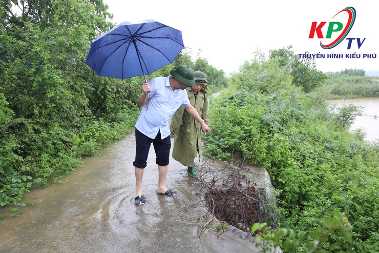 Mực nước sông Tích dâng cao trên mức báo động 3; Xã Kiều Phú ráo riết thực hiện các phương án phòng chống thiên tai - Ảnh 1.