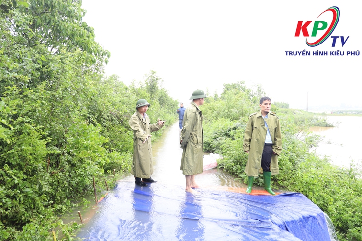Mực nước sông Tích dâng cao trên mức báo động 3; Xã Kiều Phú ráo riết thực hiện các phương án phòng chống thiên tai - Ảnh 12.
