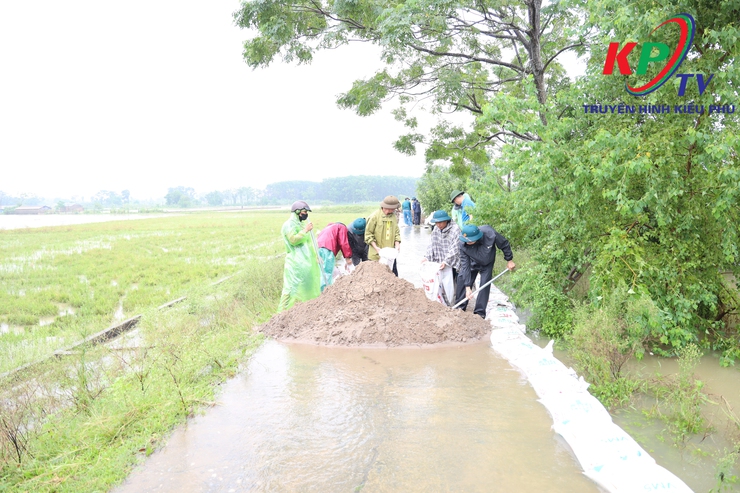 Mực nước sông Tích dâng cao trên mức báo động 3; Xã Kiều Phú ráo riết thực hiện các phương án phòng chống thiên tai - Ảnh 18.