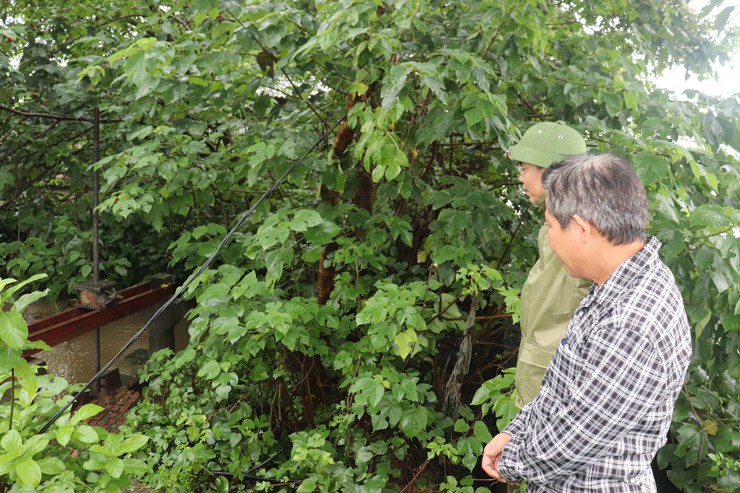 Lãnh đạo UBND xã Thuận An kiểm tra tình hình úng ngập do ảnh hưởng bão số 5- Ảnh 5.