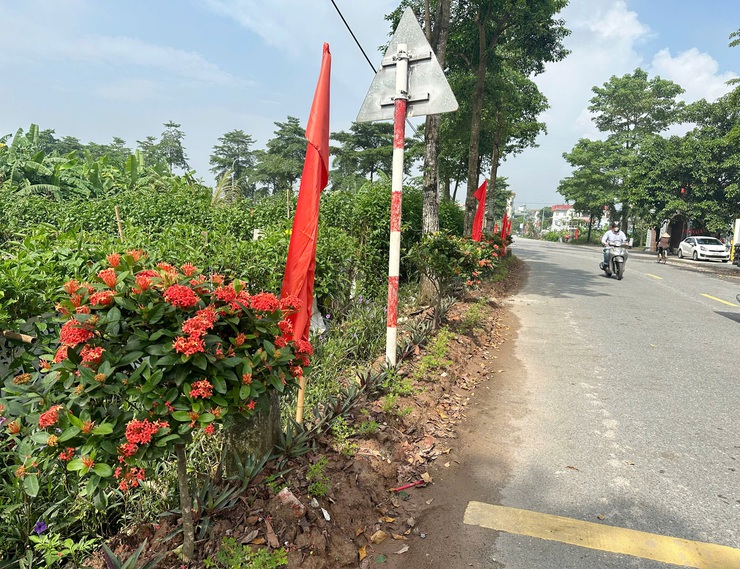 Chấm thi cuộc thi "Giữ gìn thôn sáng, xanh, sạch, đẹp, an toàn" tháng 8 trên địa bàn xã Quốc Oai- Ảnh 5.