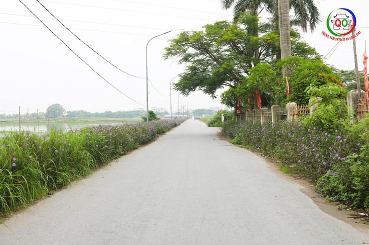 Đoàn kiểm tra số 3 xã Quốc Oai kiểm tra, chấm điểm cuộc thi "Giữ gìn thôn Sáng, Xanh, Sạch, Đẹp" tháng 8/2025- Ảnh 8.