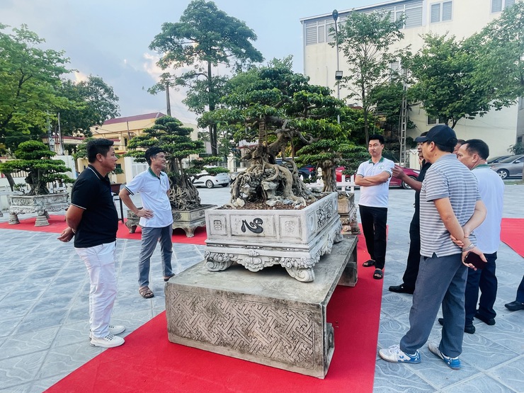 Khai mạc Triển lãm cây cảnh nghệ thuật xã Thiên Lộc lần thứ Nhất năm 2025- Ảnh 14.