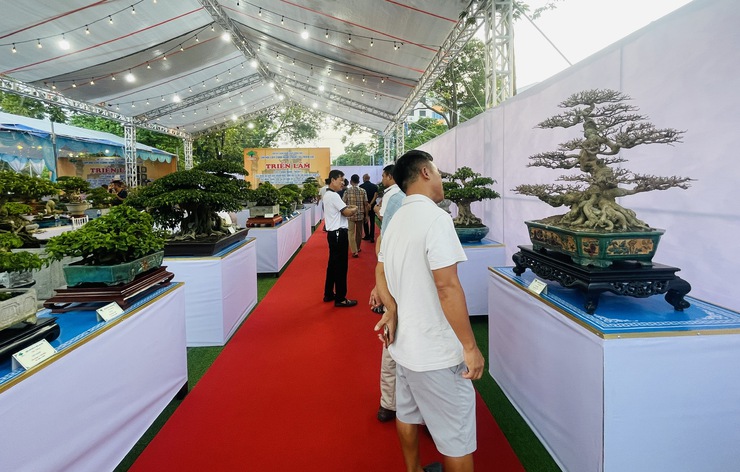 Khai mạc Triển lãm cây cảnh nghệ thuật xã Thiên Lộc lần thứ Nhất năm 2025- Ảnh 16.
