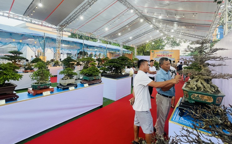 Khai mạc Triển lãm cây cảnh nghệ thuật xã Thiên Lộc lần thứ Nhất năm 2025- Ảnh 9.