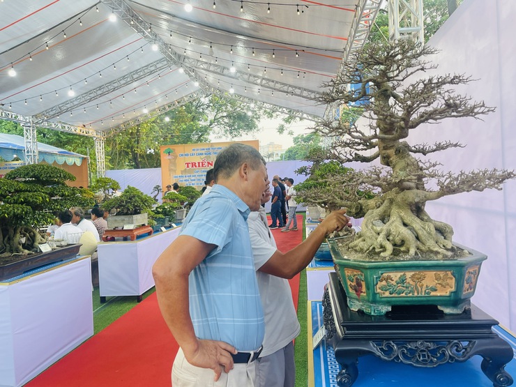 Khai mạc Triển lãm cây cảnh nghệ thuật xã Thiên Lộc lần thứ Nhất năm 2025- Ảnh 15.