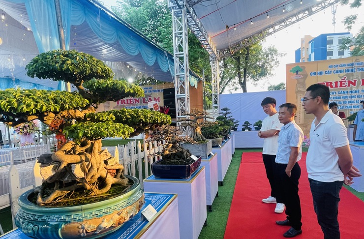 Khai mạc Triển lãm cây cảnh nghệ thuật xã Thiên Lộc lần thứ Nhất năm 2025- Ảnh 7.