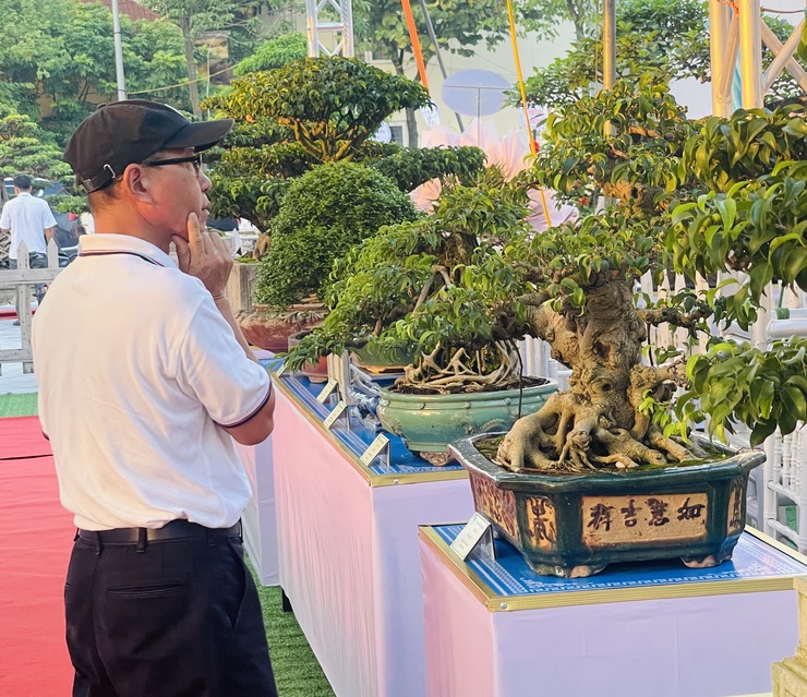 Khai mạc Triển lãm cây cảnh nghệ thuật xã Thiên Lộc lần thứ Nhất năm 2025- Ảnh 13.
