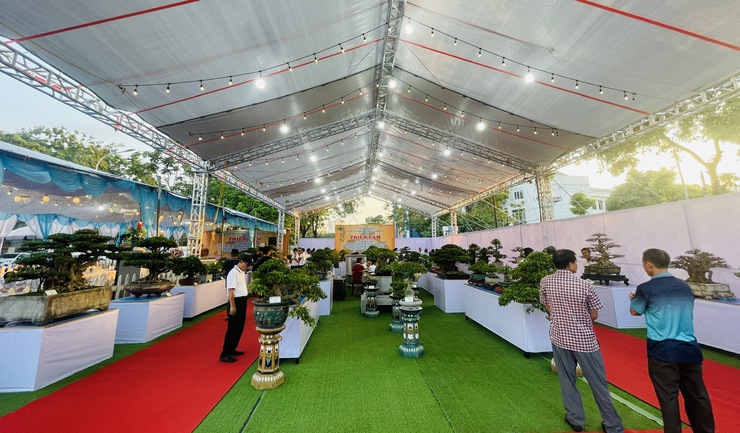 Khai mạc Triển lãm cây cảnh nghệ thuật xã Thiên Lộc lần thứ Nhất năm 2025- Ảnh 1.