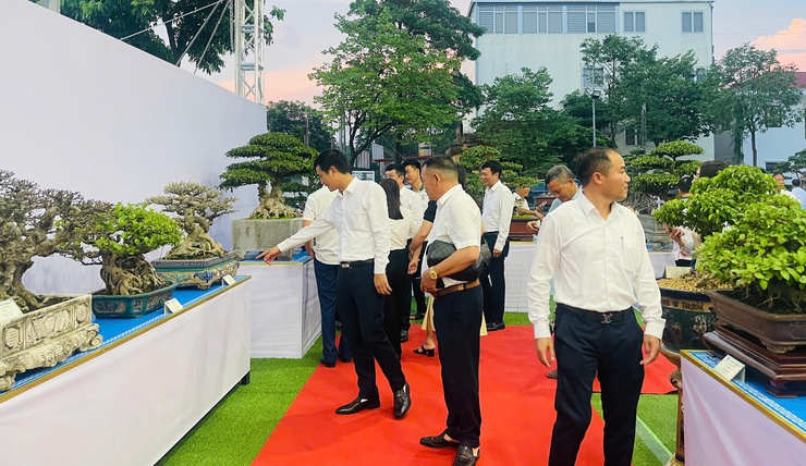 Khai mạc Triển lãm cây cảnh nghệ thuật xã Thiên Lộc lần thứ Nhất năm 2025- Ảnh 12.