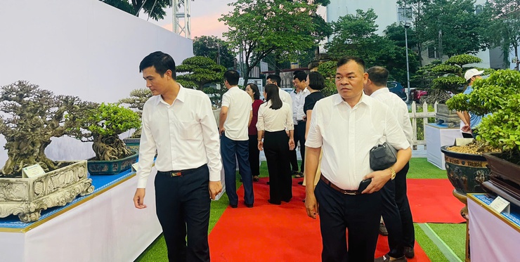 Khai mạc Triển lãm cây cảnh nghệ thuật xã Thiên Lộc lần thứ Nhất năm 2025- Ảnh 6.