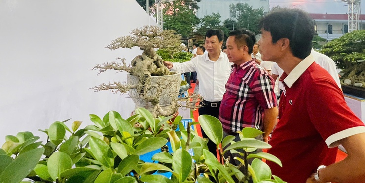 Khai mạc Triển lãm cây cảnh nghệ thuật xã Thiên Lộc lần thứ Nhất năm 2025- Ảnh 11.