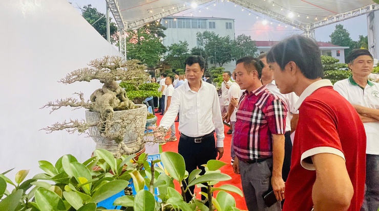 Khai mạc Triển lãm cây cảnh nghệ thuật xã Thiên Lộc lần thứ Nhất năm 2025- Ảnh 4.