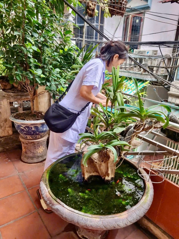 PHƯỜNG VĂN MIẾU – QUỐC TỬ GIÁM PHUN HÓA CHẤT, VỆ SINH MÔI TRƯỜNG, PHÒNG CHỐNG DỊCH BỆNH PHỤC VỤ LỄ KỶ NIỆM 80 NĂM QUỐC KHÁNH NƯỚC CỘNG HÒA XÃ HỘI CHỦ NGHĨA VIỆT NAM 02/9- Ảnh 3.