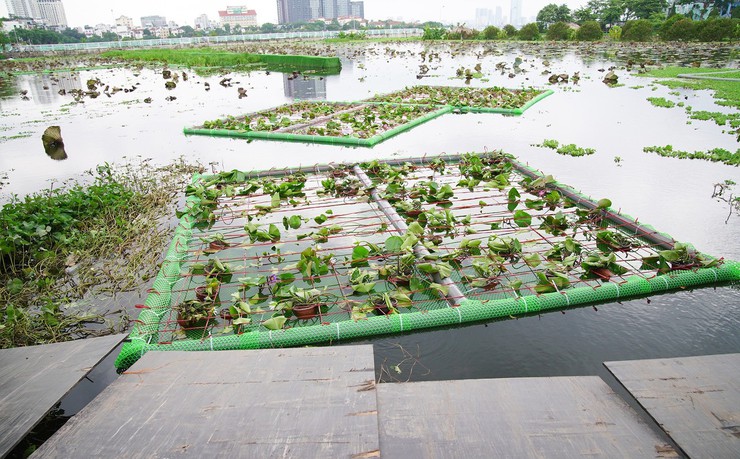 Chính thức bổ cập nước vào hồ Tây- Ảnh 7.