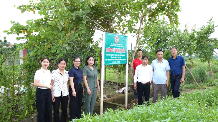 Hội Nông dân xã Thanh Oai: Gắn biển 3 đoạn đường cây, hoa tự quản- Ảnh 5.