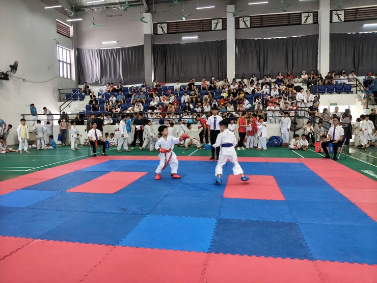 Giải vô địch Karate Đại hội TDTT xã Thiên Lộc lần thứ I - năm 2025- Ảnh 11.