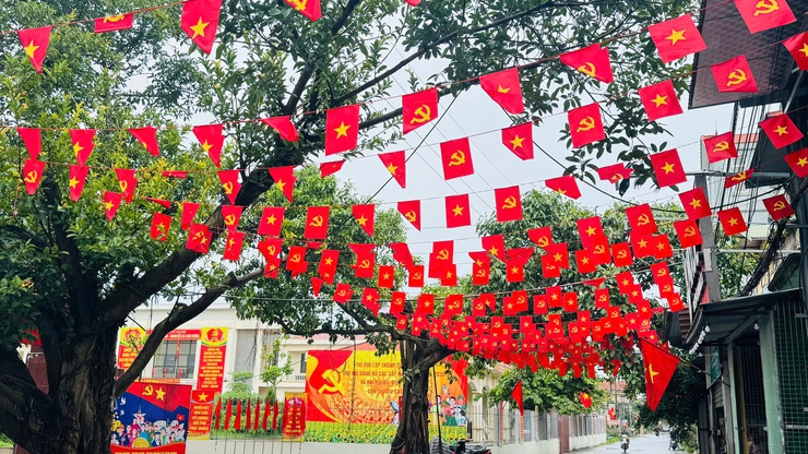 TAM HƯNG RỰC RỠ CỜ HOA ĐÓN CHÀO ĐẠI LỄ 2/9- Ảnh 6.