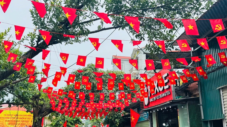TAM HƯNG RỰC RỠ CỜ HOA ĐÓN CHÀO ĐẠI LỄ 2/9- Ảnh 4.