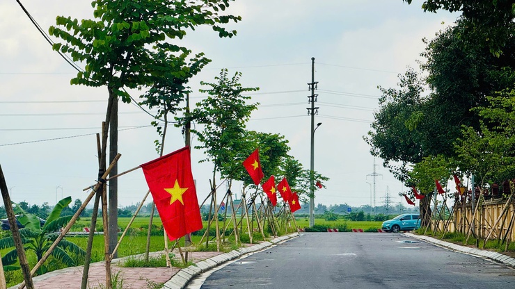 TAM HƯNG RỰC RỠ CỜ HOA ĐÓN CHÀO ĐẠI LỄ 2/9- Ảnh 5.