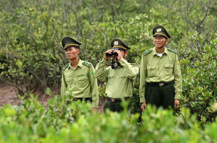 Hà Nội phê duyệt 31 Quy trình nội bộ, Quy trình điện tử giải quyết thủ tục hành chính lĩnh vực Lâm nghiệp và Kiểm lâm- Ảnh 2.